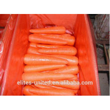 Best quality fresh carrot price